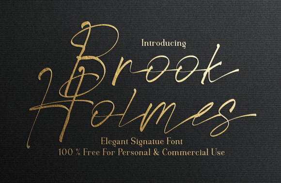 Brook Holmes Font Review: A Script Typeface for Campaigns