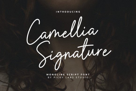 Camellia Signature: A Premium Script Font for Web Design