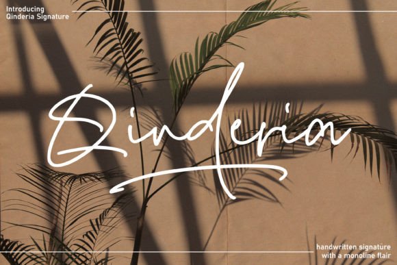 Choosing Qinderia Signature for Modern Web Typography