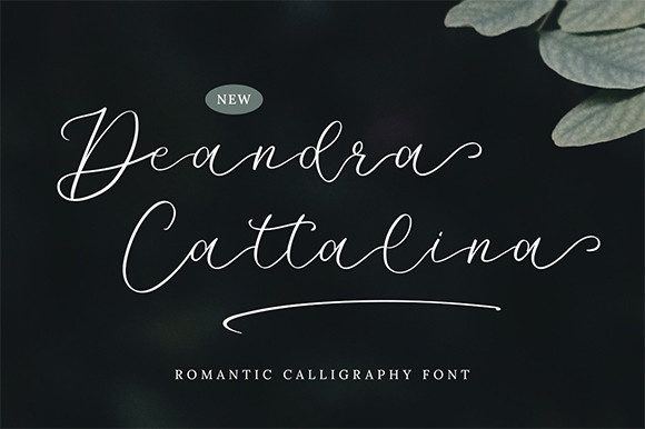 Deandra Cattalina: A Script Font for Authentic Campaigns