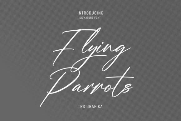 Flying Parrots Font: A Script Typeface for Bold Branding