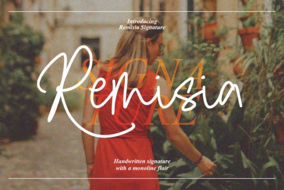 Remisia: A Designer's Honest Review for Real Branding